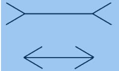 Figure 1. The Müller-Lyer Illusion Muller