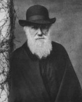 slideshow-darwin